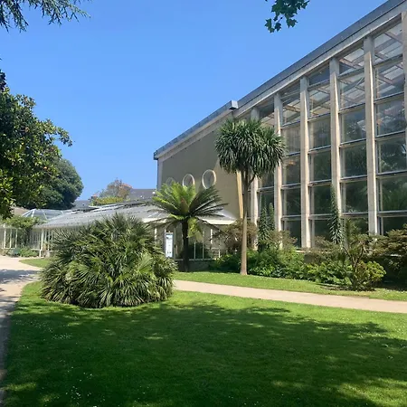 Le Cocon Apartment Cherbourg-en-Cotentin